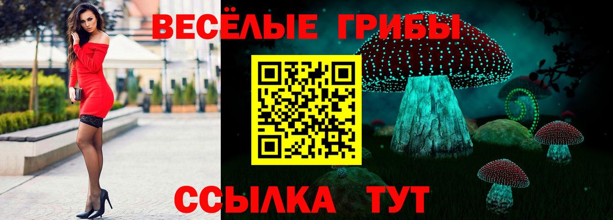 Протвино  Псилоцибиновые грибы ЛСД  Псилоцибиновые грибы Magic Shrooms  Вход с VPN 